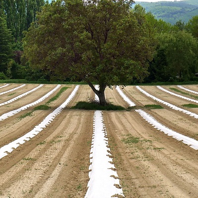 Adequação da Propriedade Rural (Programa de Regularização Ambiental/PRA)