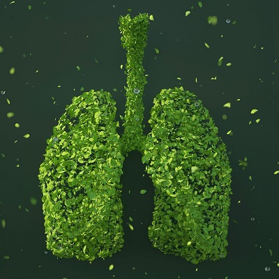 Diagnóstico Ambiental
